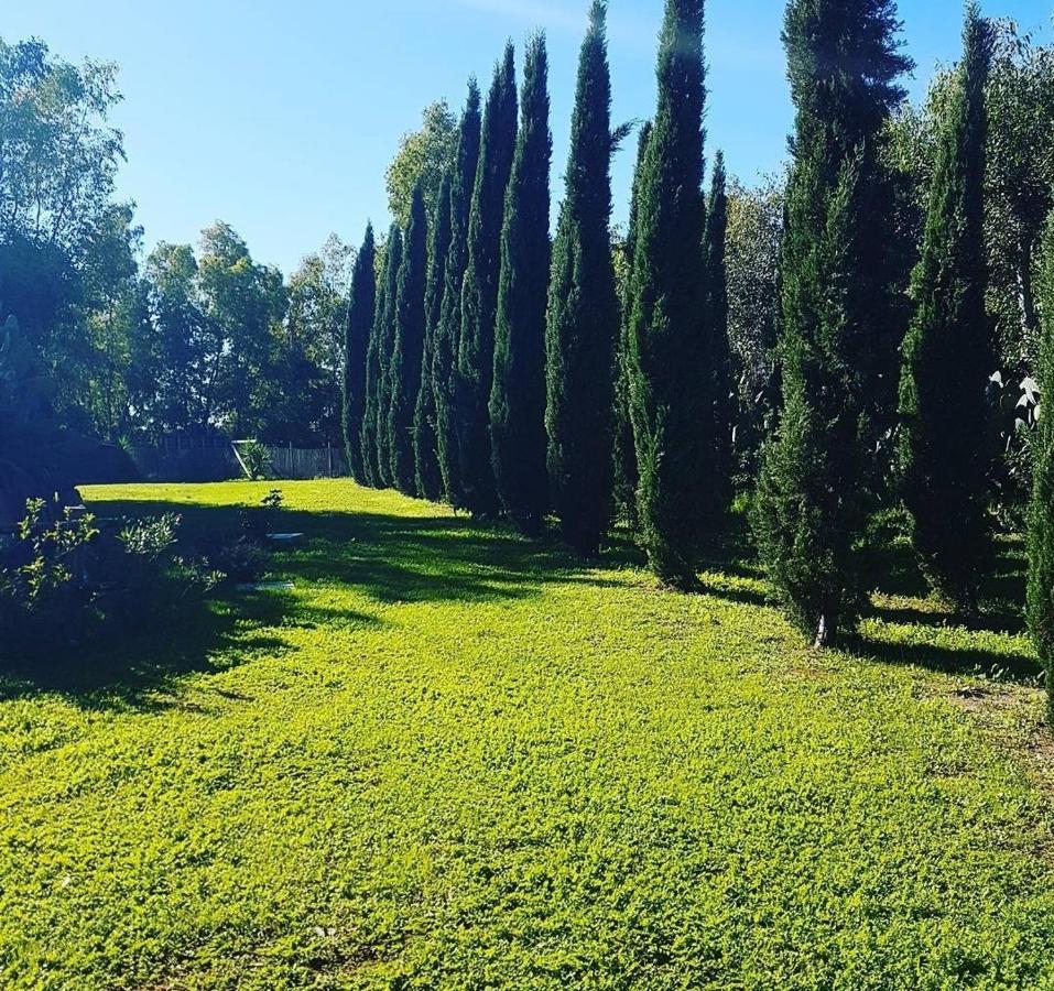 Il Piccolo Borgo Apartment Montalto di Castro Exterior photo