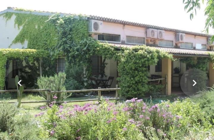 Il Piccolo Borgo Apartment Montalto di Castro Exterior photo