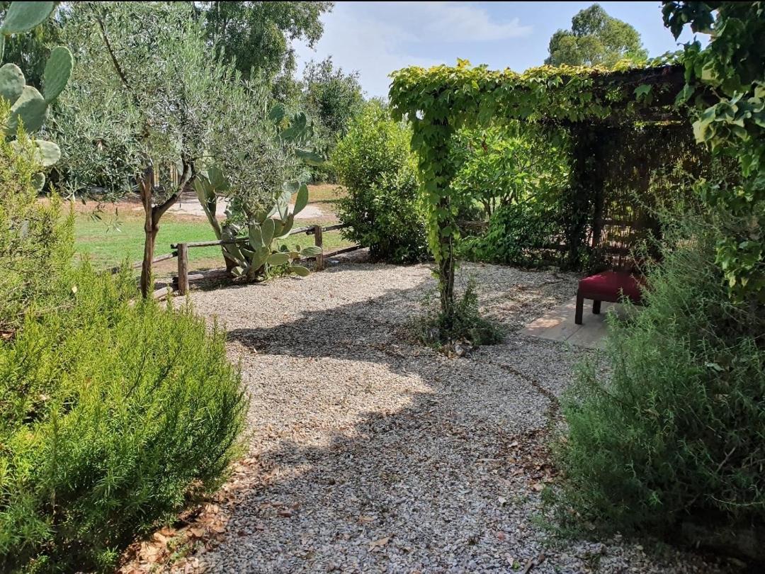 Il Piccolo Borgo Apartment Montalto di Castro Exterior photo